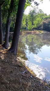 nieghborhood-lake