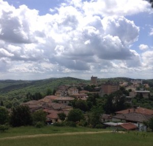 Rhys Bowen Landscape Picture